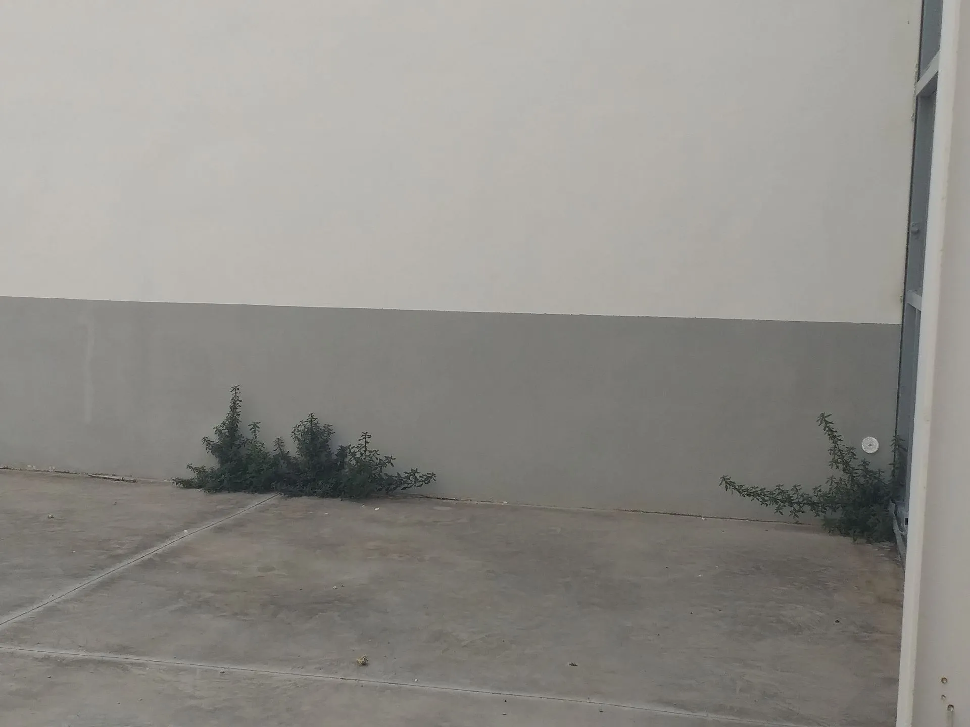 Vista de la nave en San Isidro (referencia N0565)